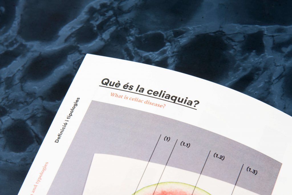 disseny publicació editorial